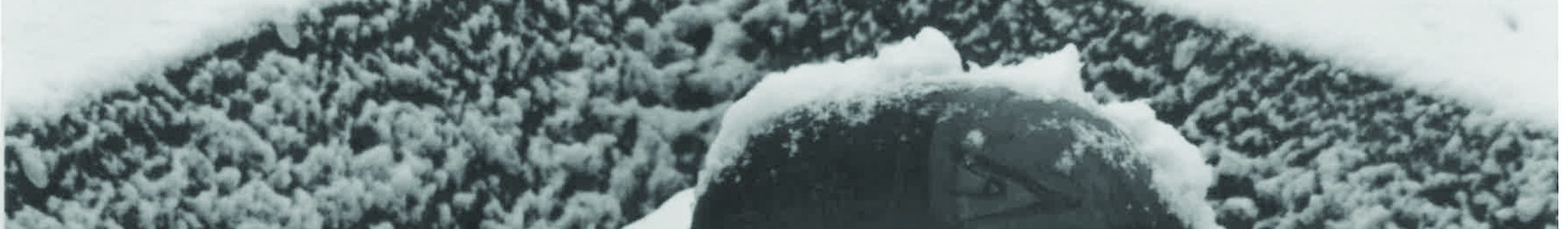 KM_C308-20220719155302