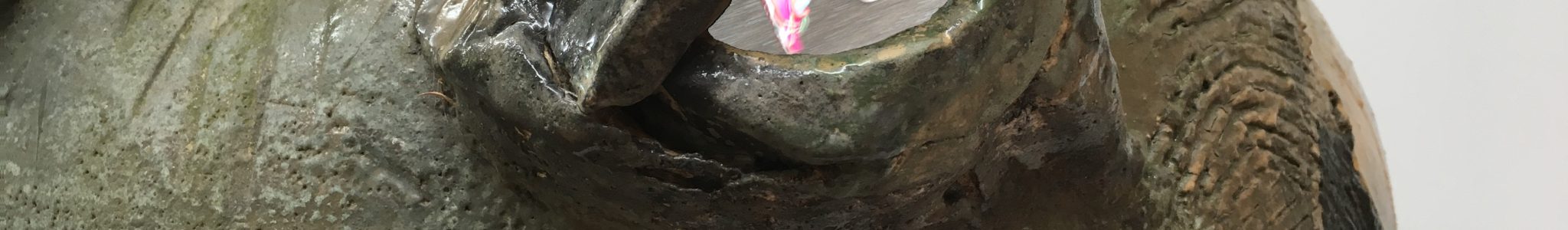 Max_Videoskulptur (Frosch Detail)